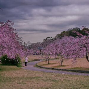 O Duelo da Alma: A Luta Diária Entre o Velho e o Novo Homem