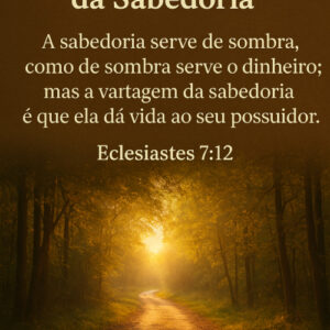 O Valor e os Limites da Sabedoria